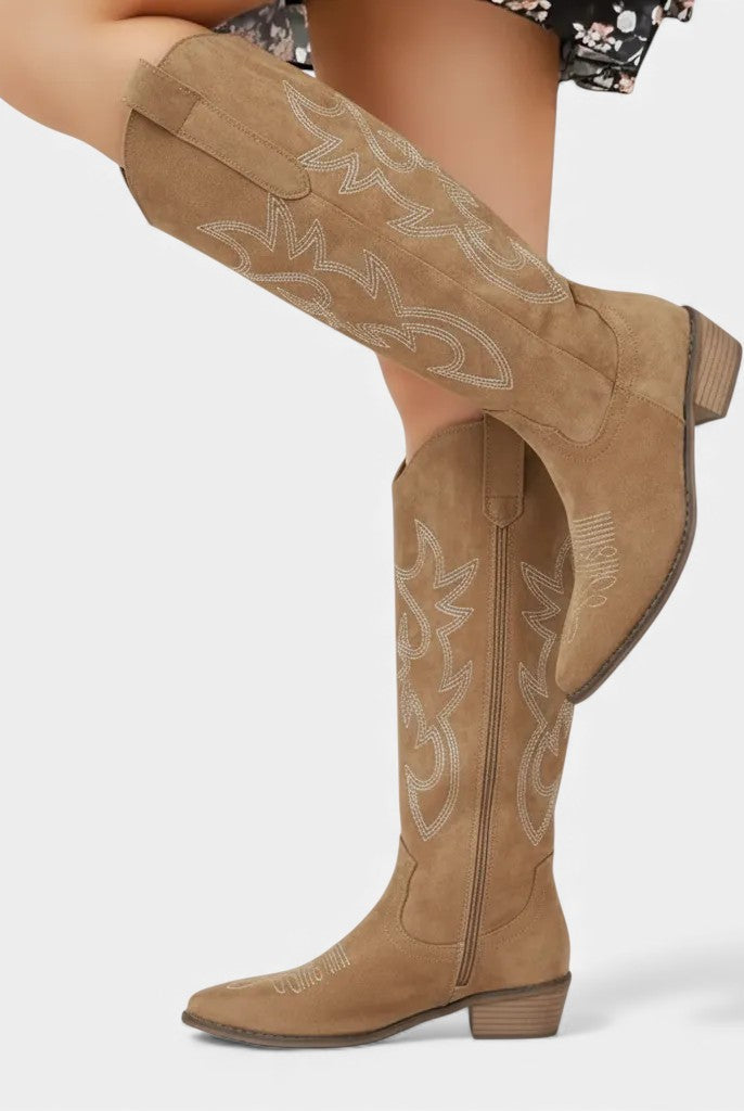Buty damskie na obcasie | Zamsz, szpiczasty nos | Zima